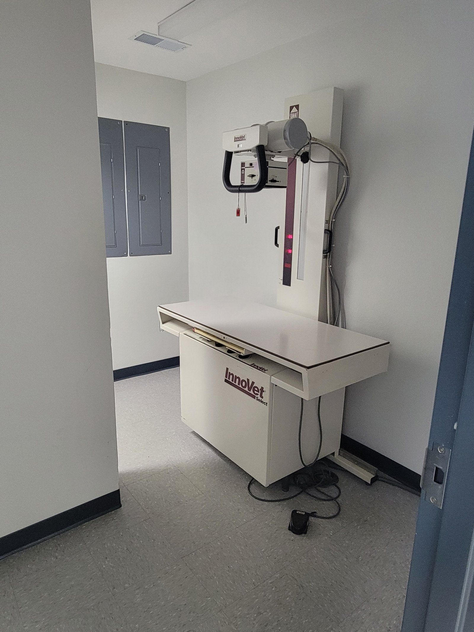 X-ray — Festus, MO — Rebecca Darland Pet Clinic
