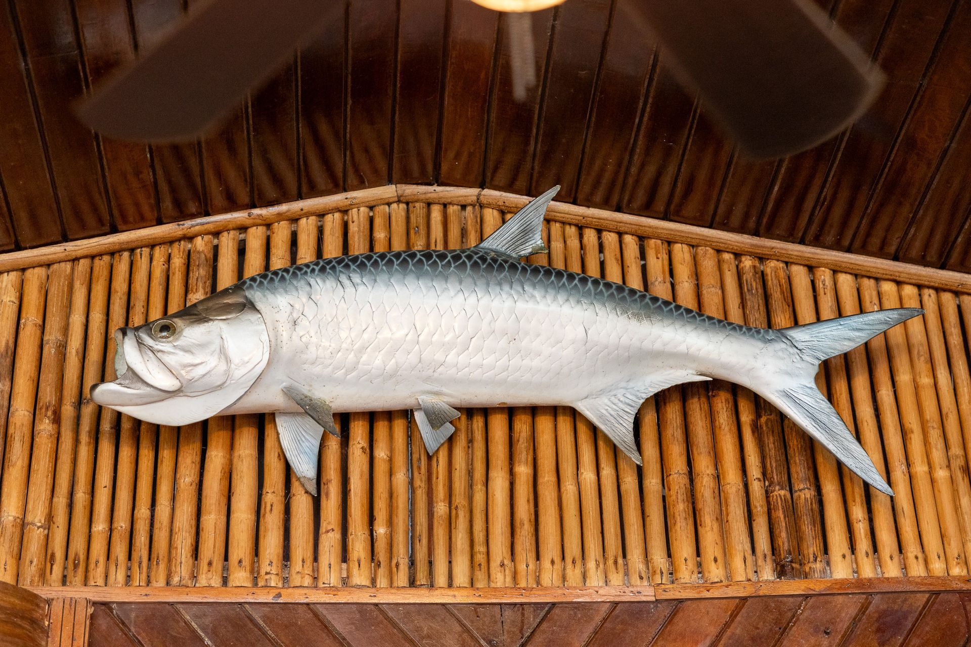 Fishing Resort, Hotel, and Spa