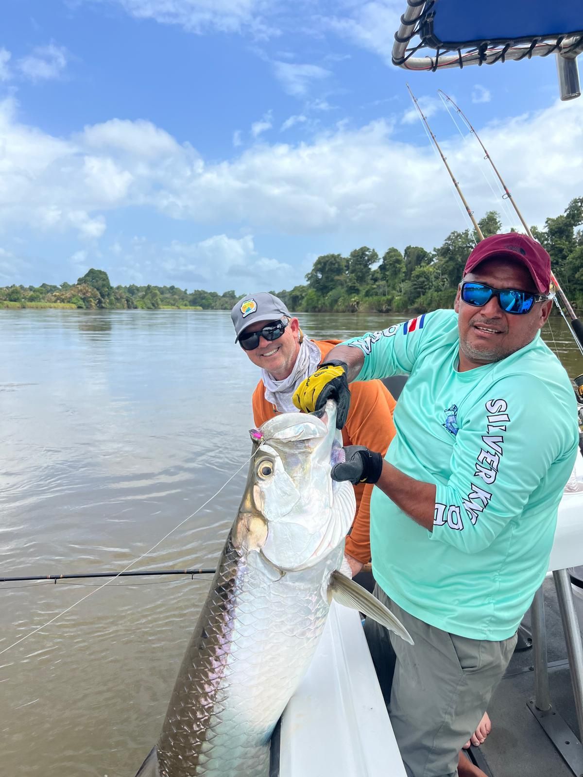 fish tarpon in Costa Rica