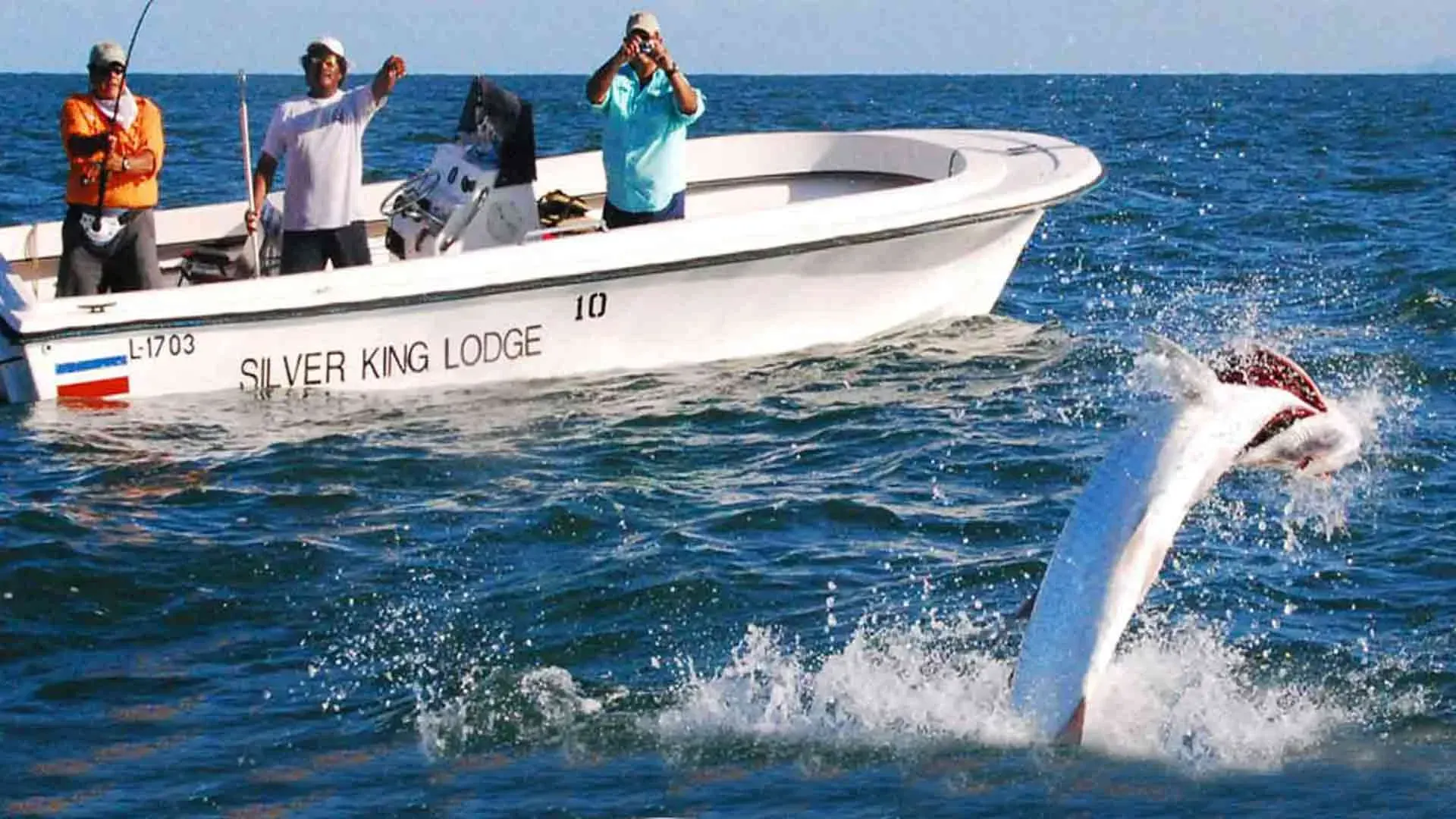 tarpon fishing charters in Costa Rica