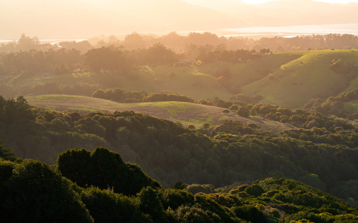 SonoMarin-County