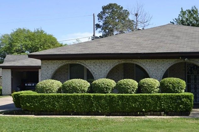 Shrub Trimming in Buford