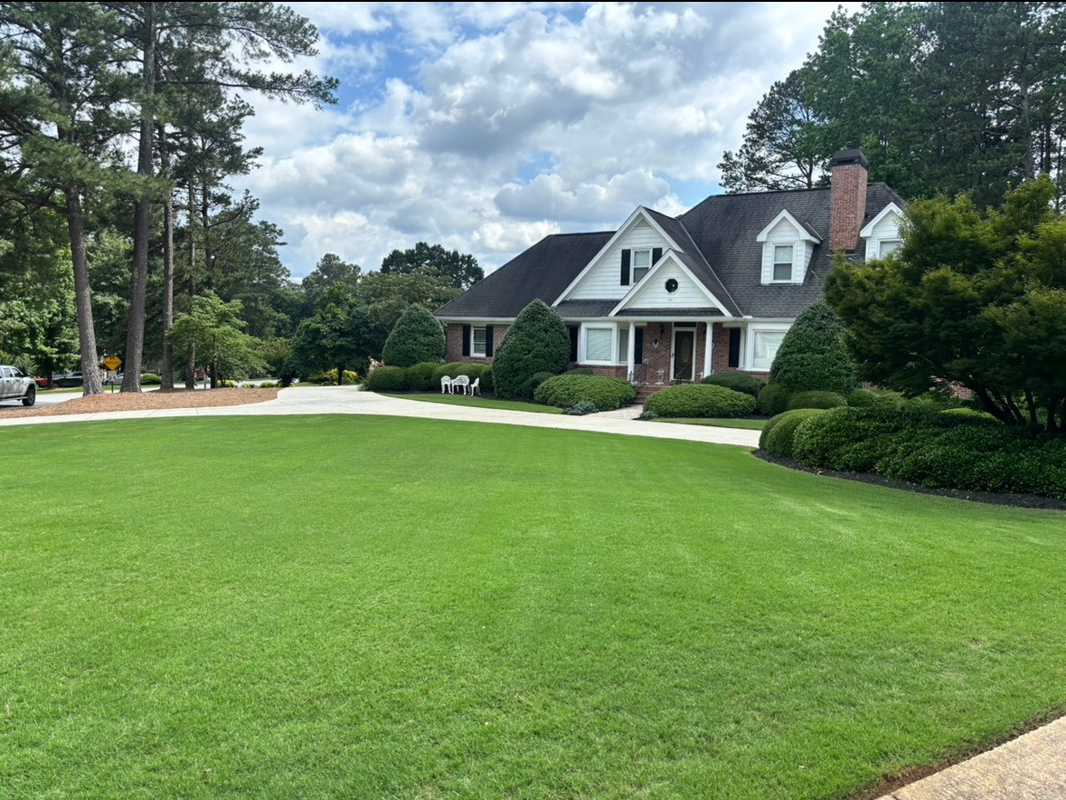 Residential Lawn Care, grass cutting service 
