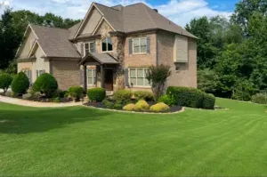 Hedge Trimming