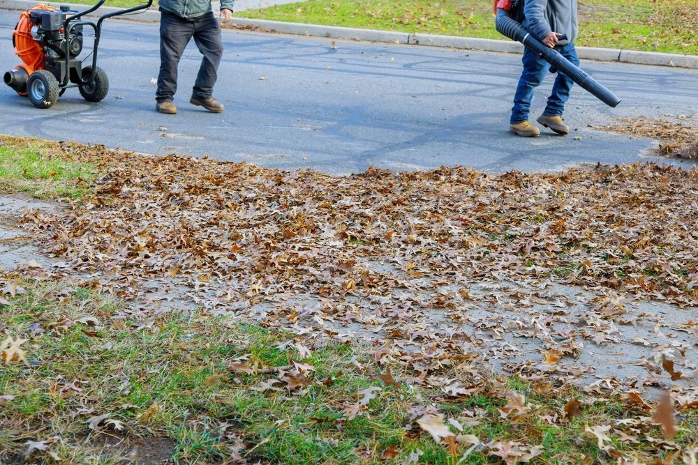 Blowing leaves off of road