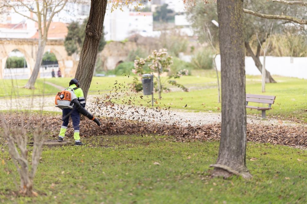 Leaf blowing service