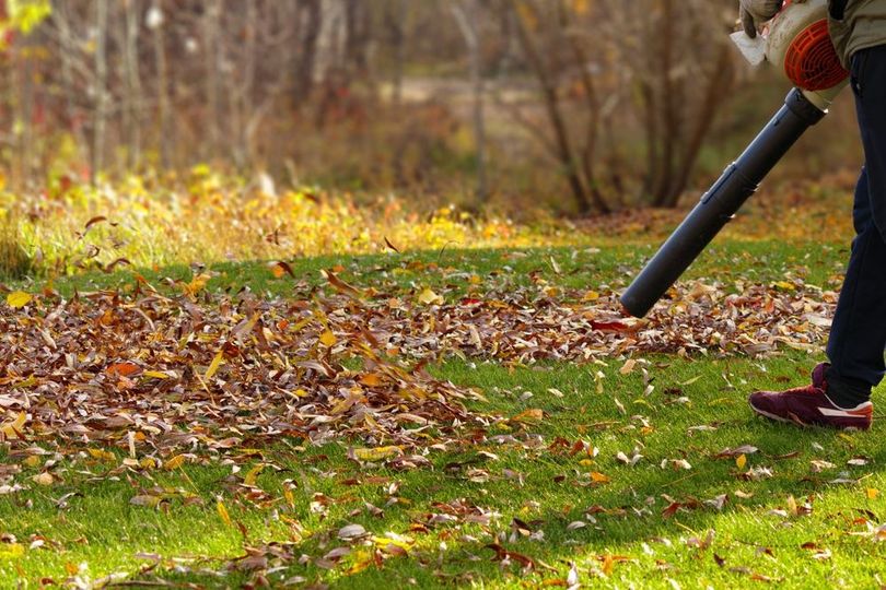 Leaf Blowing Service