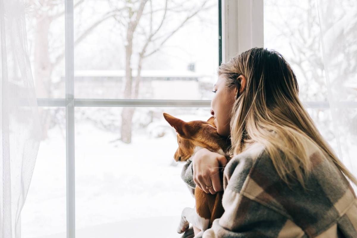 A woman looking out at a snowy scene from a window while holding a dog at Alton Bay Blinds near Hampton, NH