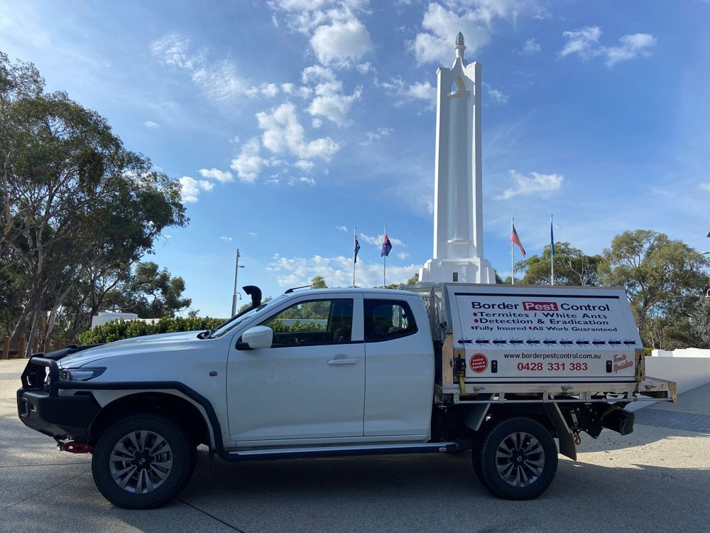 A white truck is parked in front of a statue — Border Pest Control In Albury, NSW