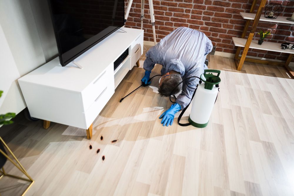 A Man is Kneeling on the Floor in a Living Room While Spraying a Room With a Sprayer — Border Pest Control In Albury, NSW