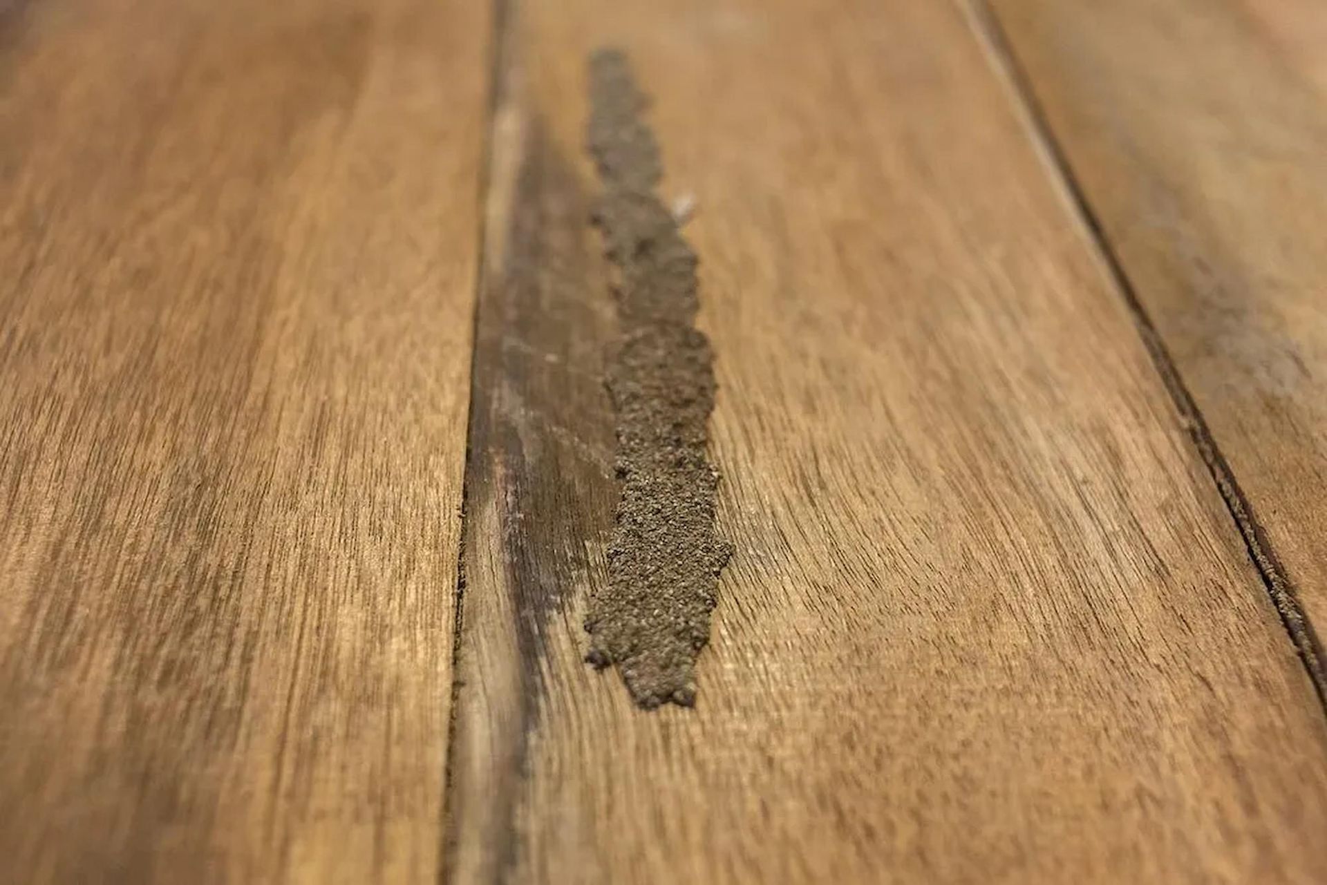 Signs Of Termite Damage