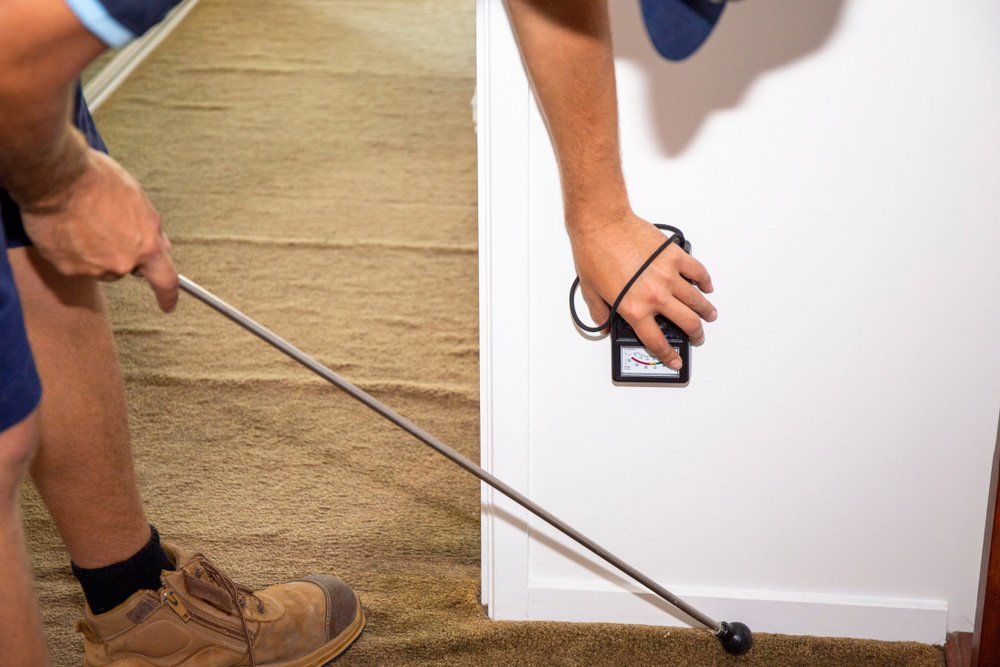 A Person is Standing Next to a Door Holding a Stick in Their Hand — Border Pest Control In Albury, NSW