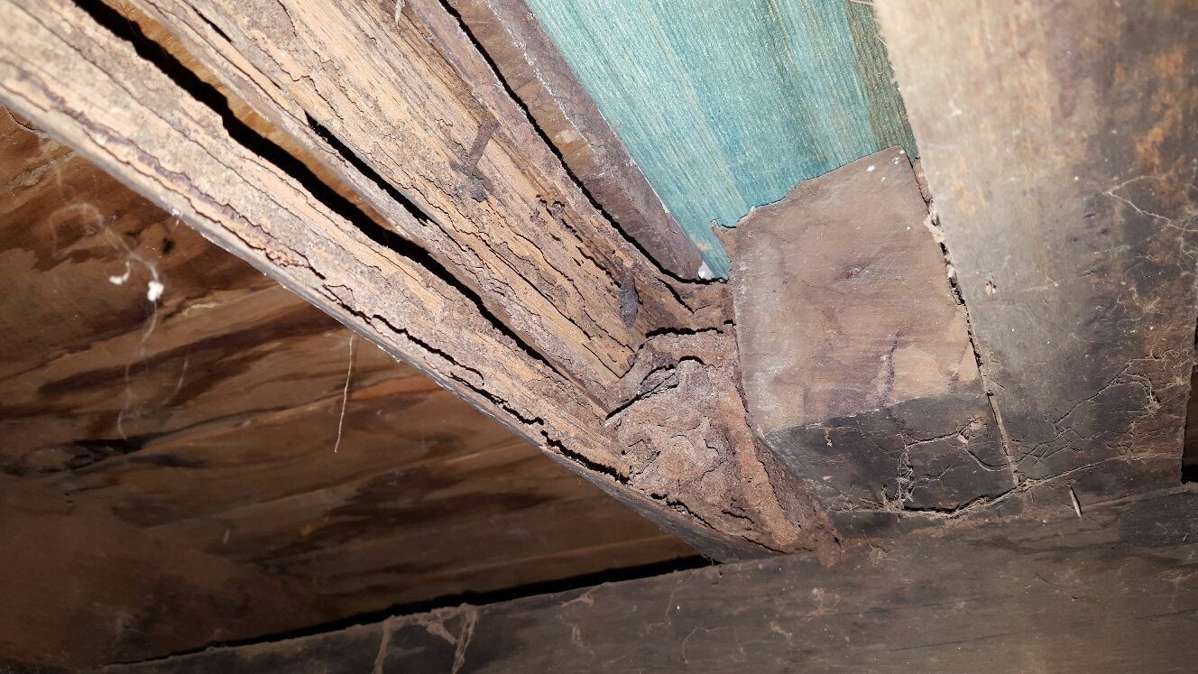 Termites On A Wooden Part Of The House