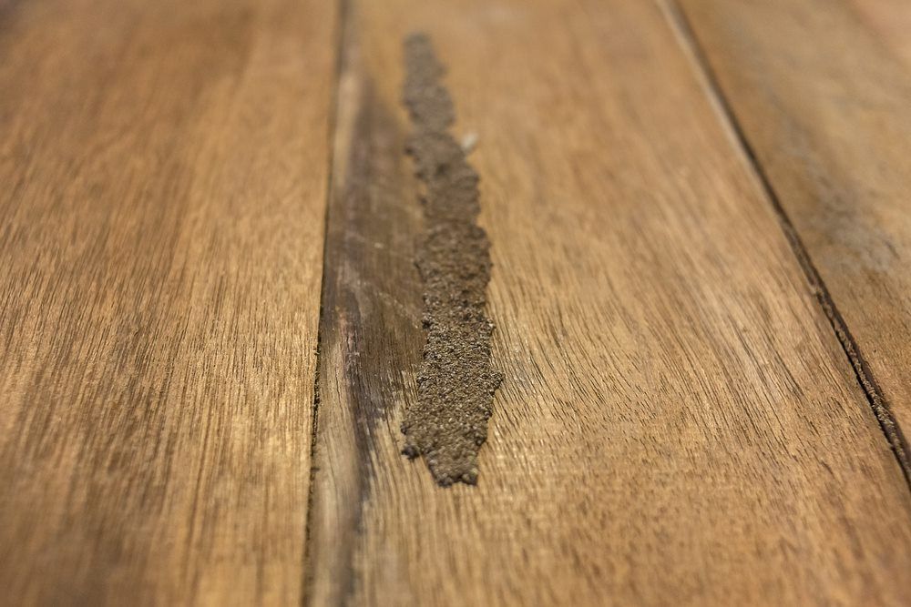 A Close Up of a Piece of Wood With a Hole in It — Border Pest Control In Albury, NSW
