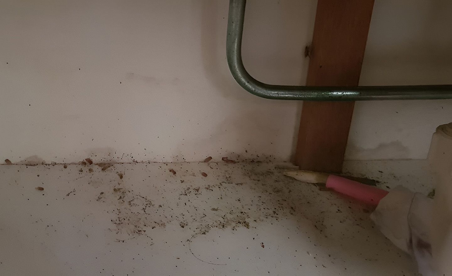 Pest Infestation Evidence Under Sink Area