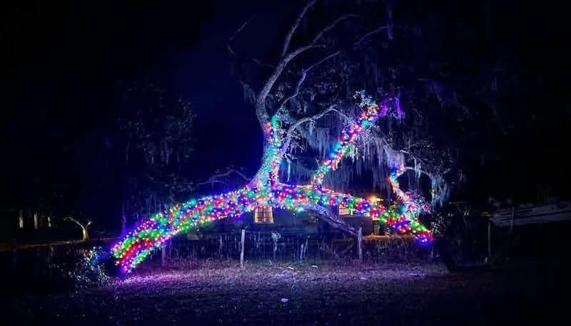 Colorful rainbow lights form a lit sculpture in a dark outdoor park at night.