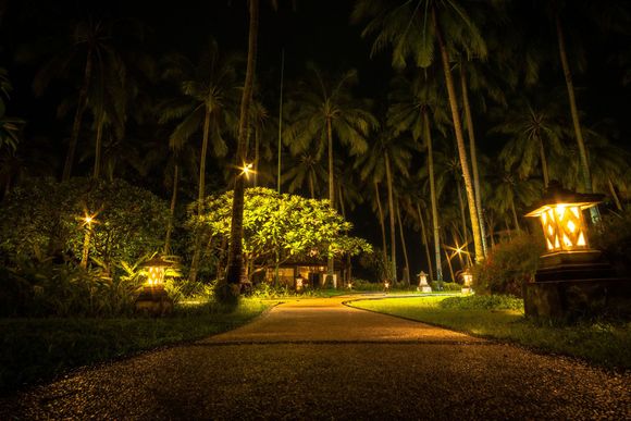 Lit garden path at night with palm trees and warm yellow lights