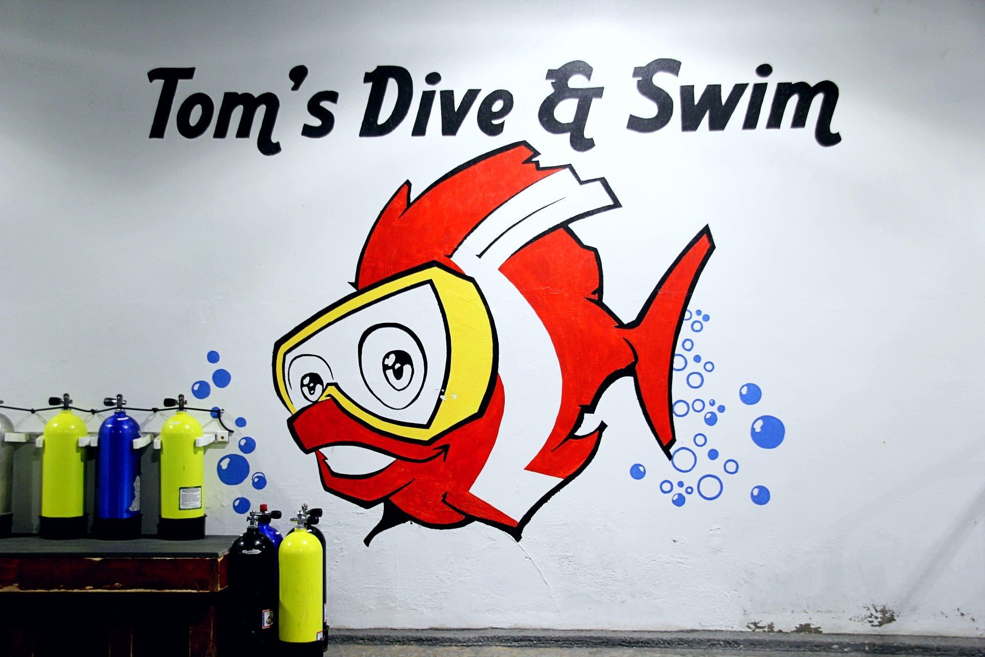 Toms Dive and Swim Logo