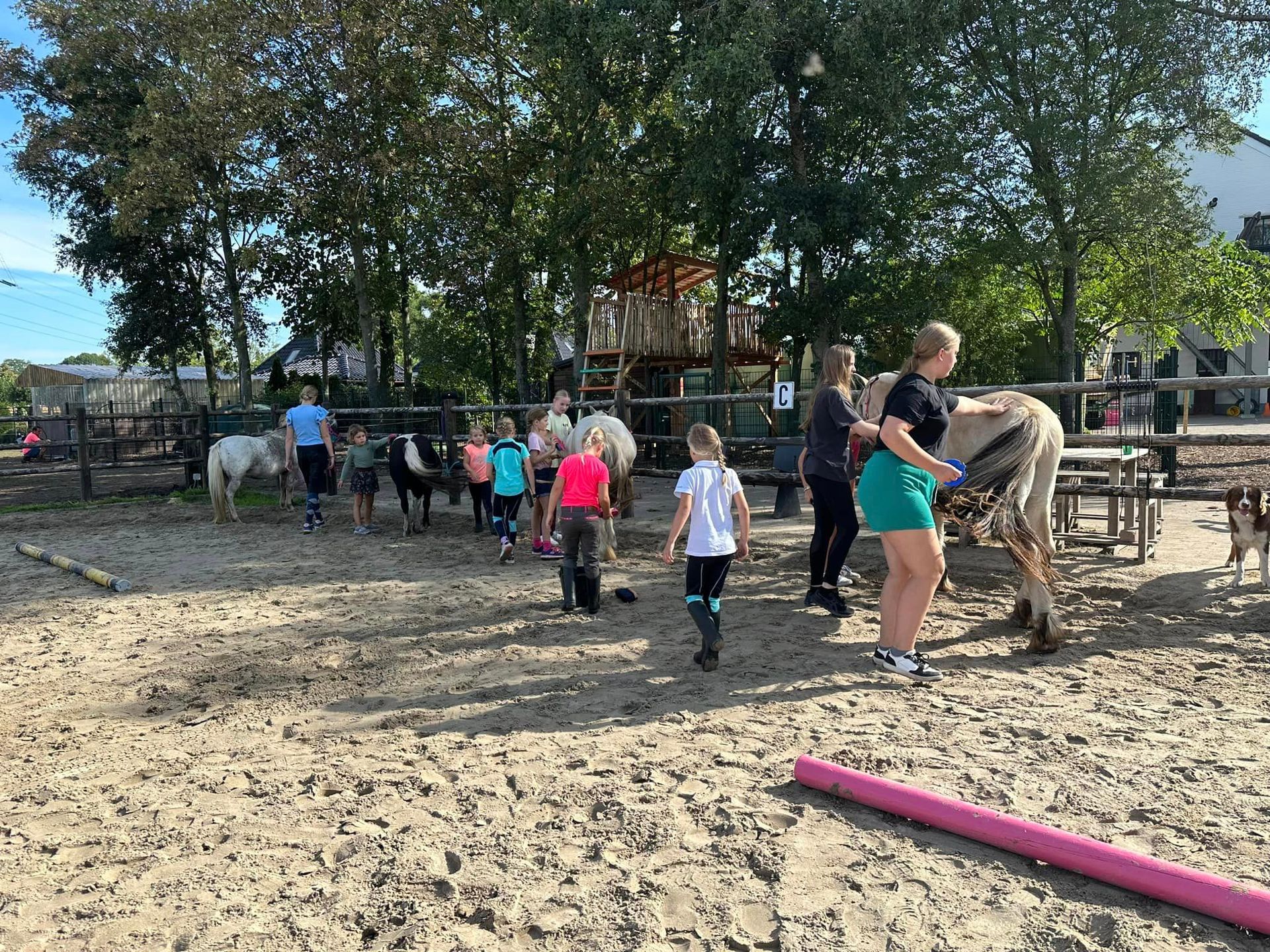 Jongeren bij Kim NATUURlijk bezig met de paarden.