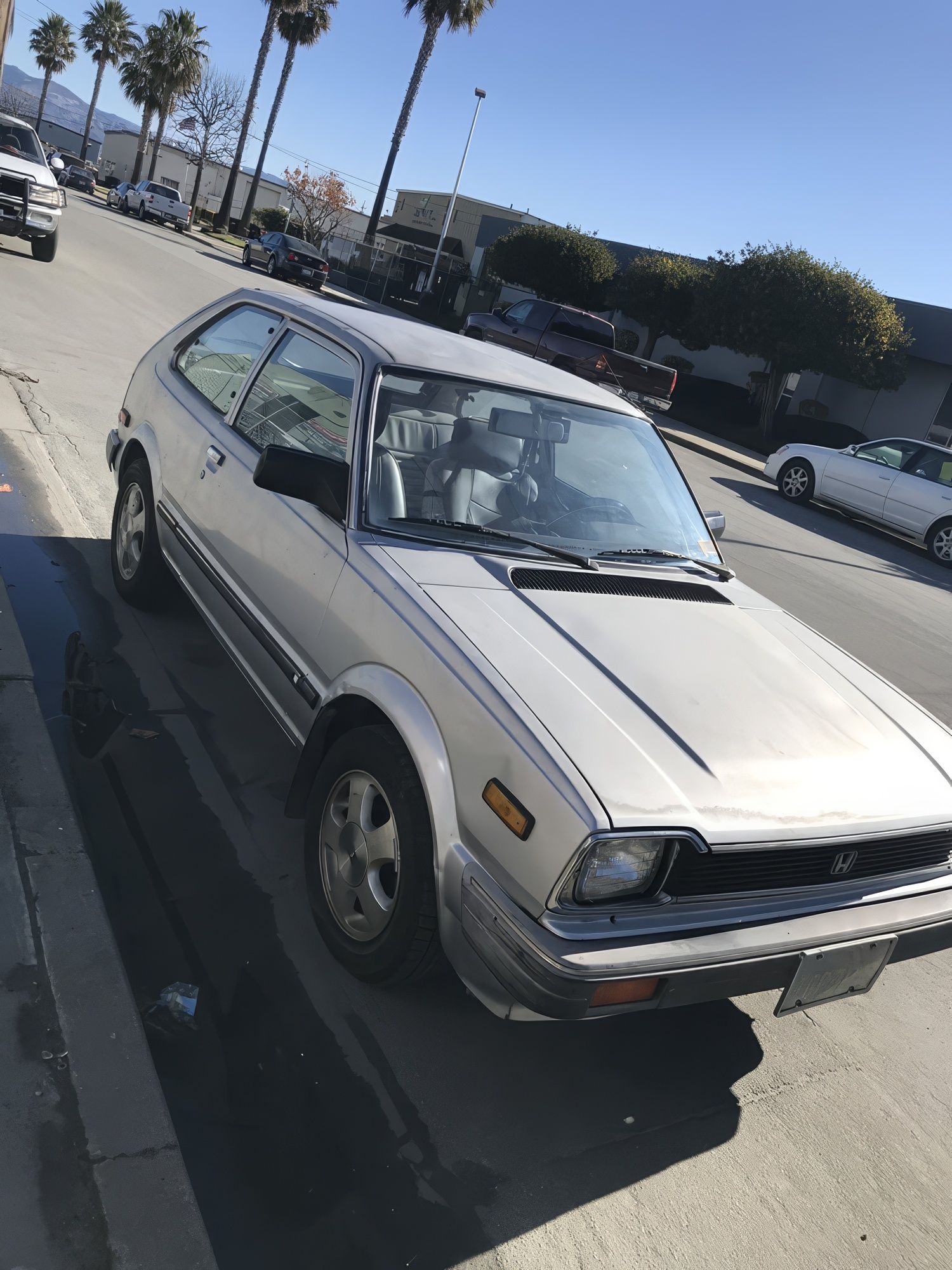 White vintage hatchback parked on a sunny street beside a curb, with palm trees and other cars nearby