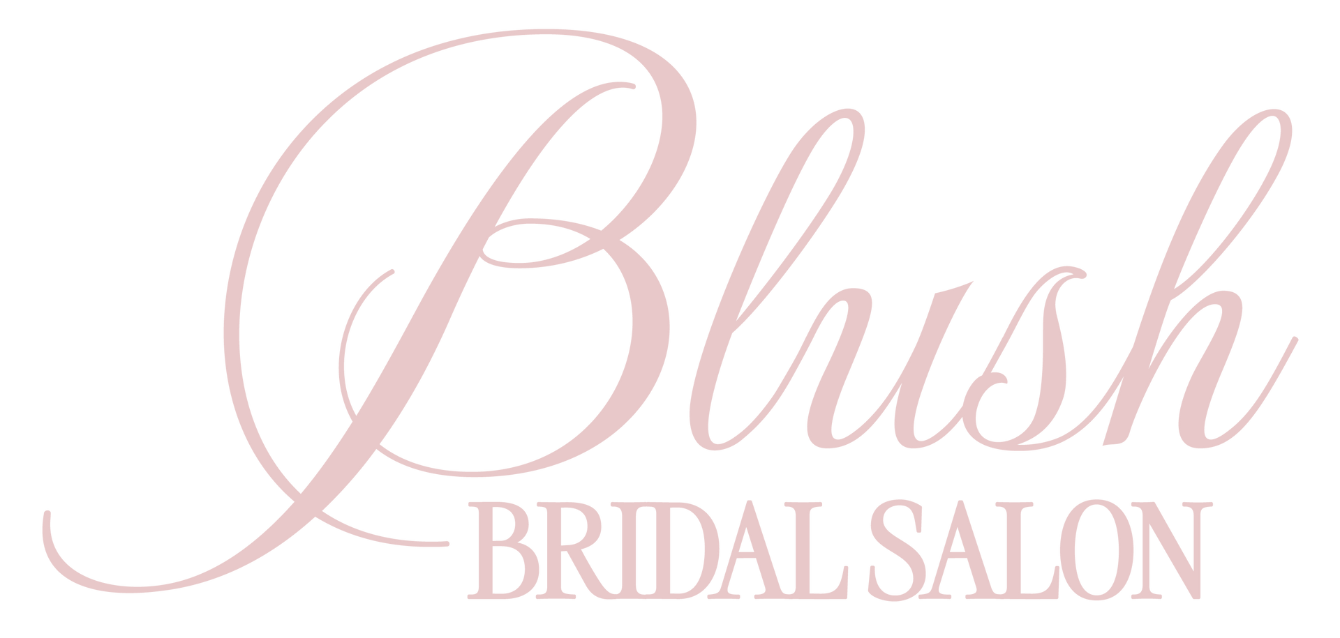 Logo for