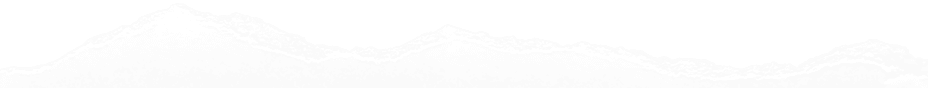 A blurred abstract image of white vertical lines.