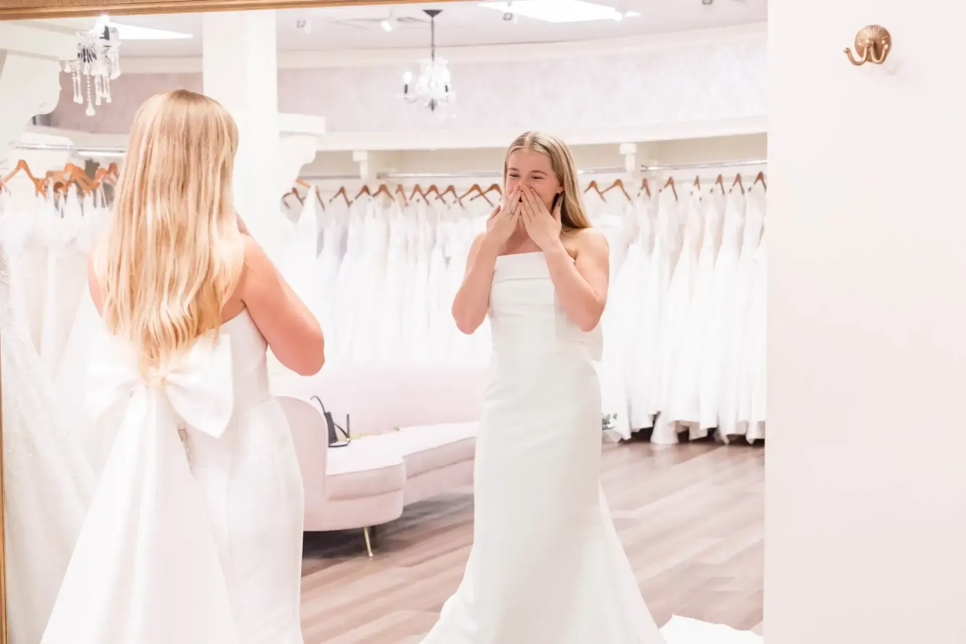 Dress Reveal Appointment