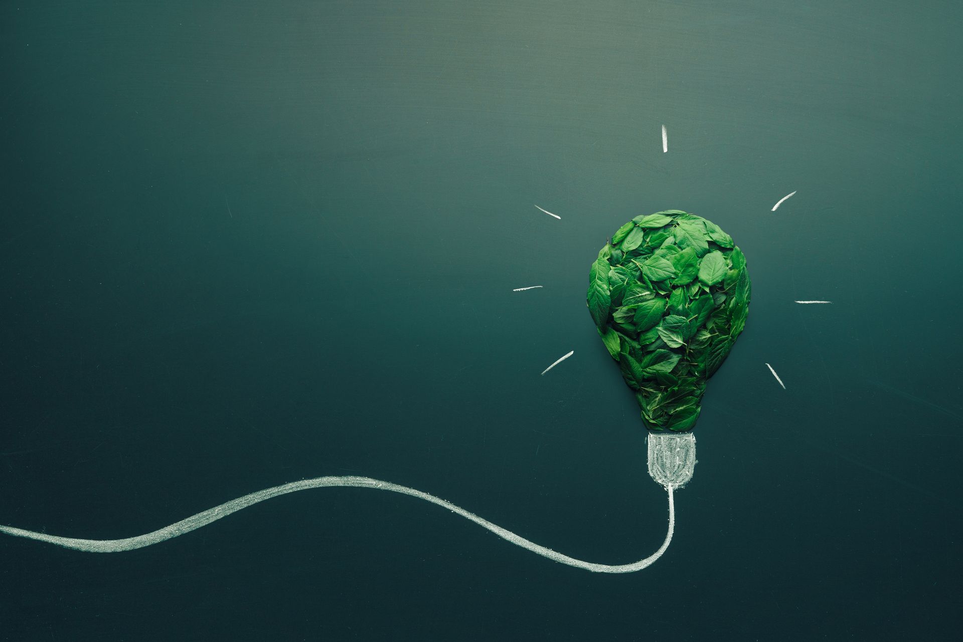 Lampadina verde fatta di fogliame, disegnata su una lavagna blu scuro.