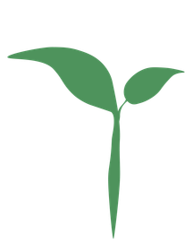 favicon herborista

