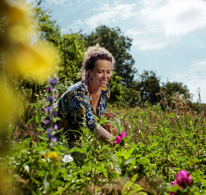 persoon oogst lokale planten in de natuur