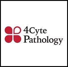 4Cyte Pathology logo with red clover-like icon and black text on white background