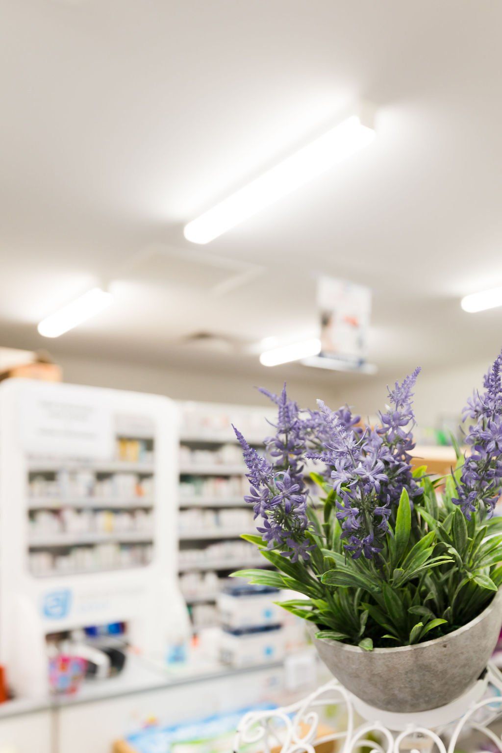 Lavender flowers in a shop, with blurred shelves and fluorescent ceiling lights in the background