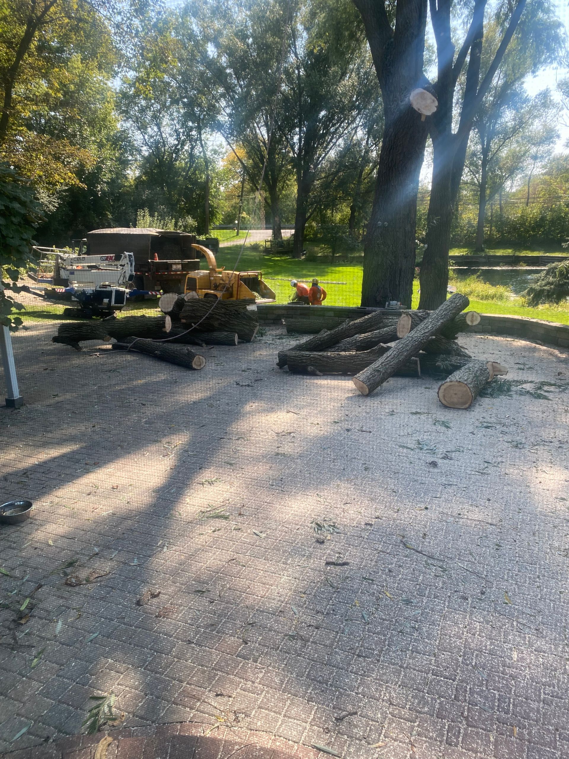 Gallery | Advanced Tree and Stump Removal LLC