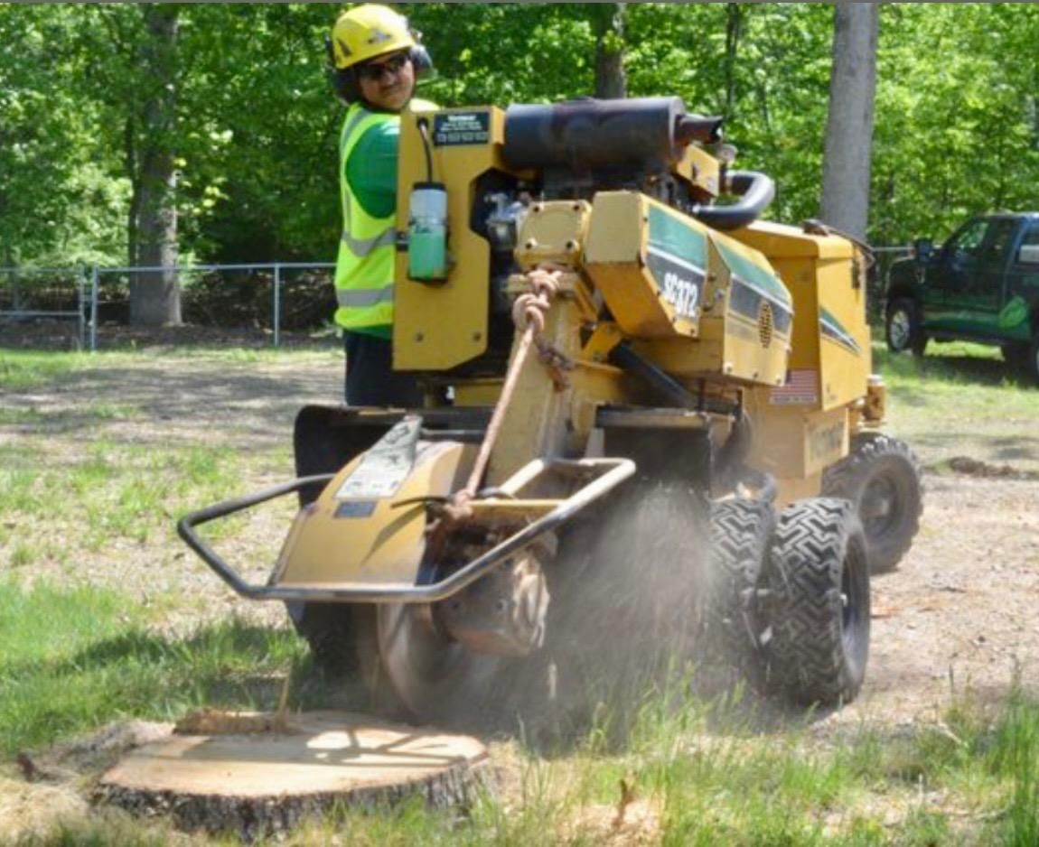 Gallery | Advanced Tree and Stump Removal LLC