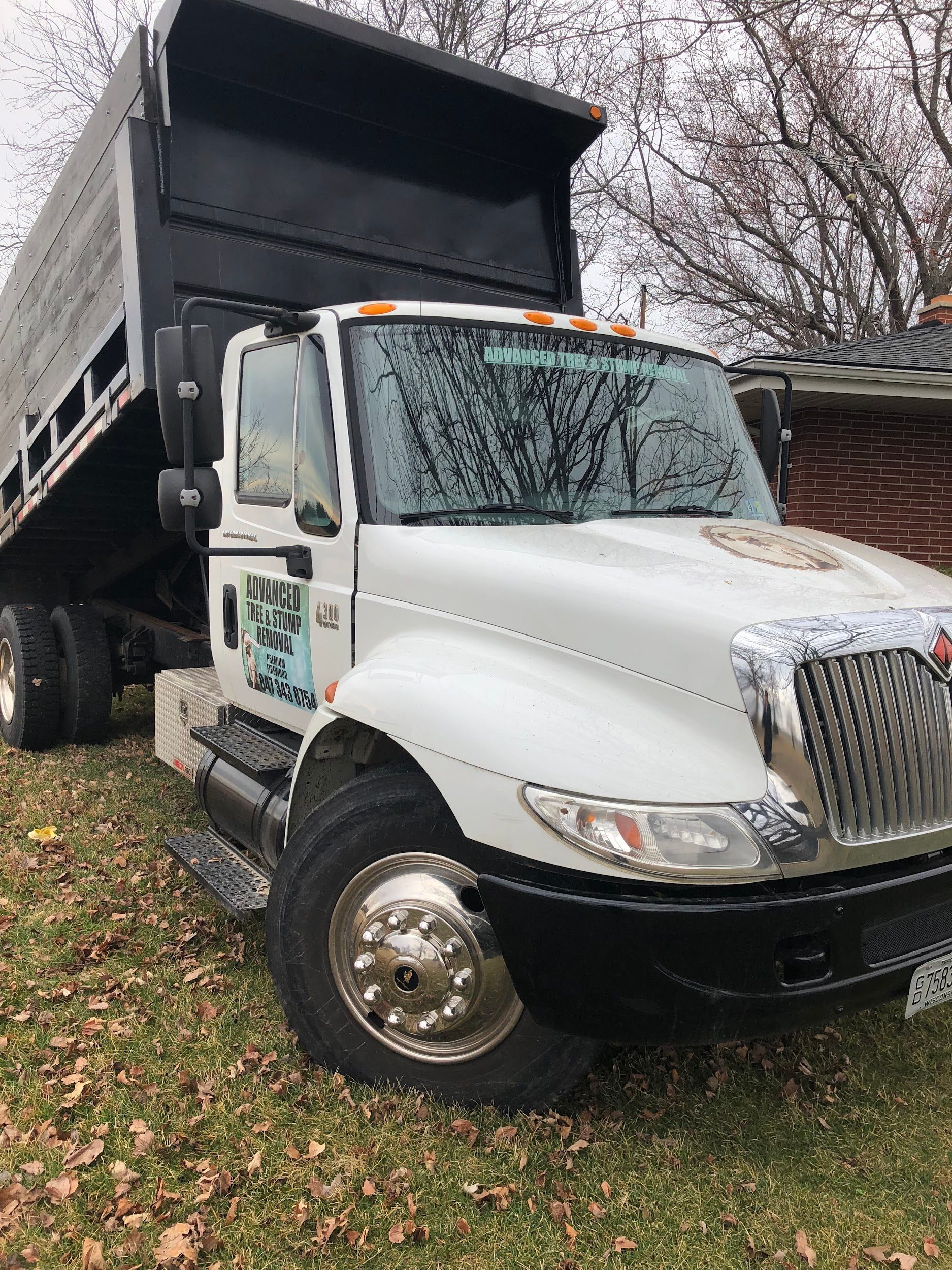 White dump truck with a raised black bed, parked on grass.