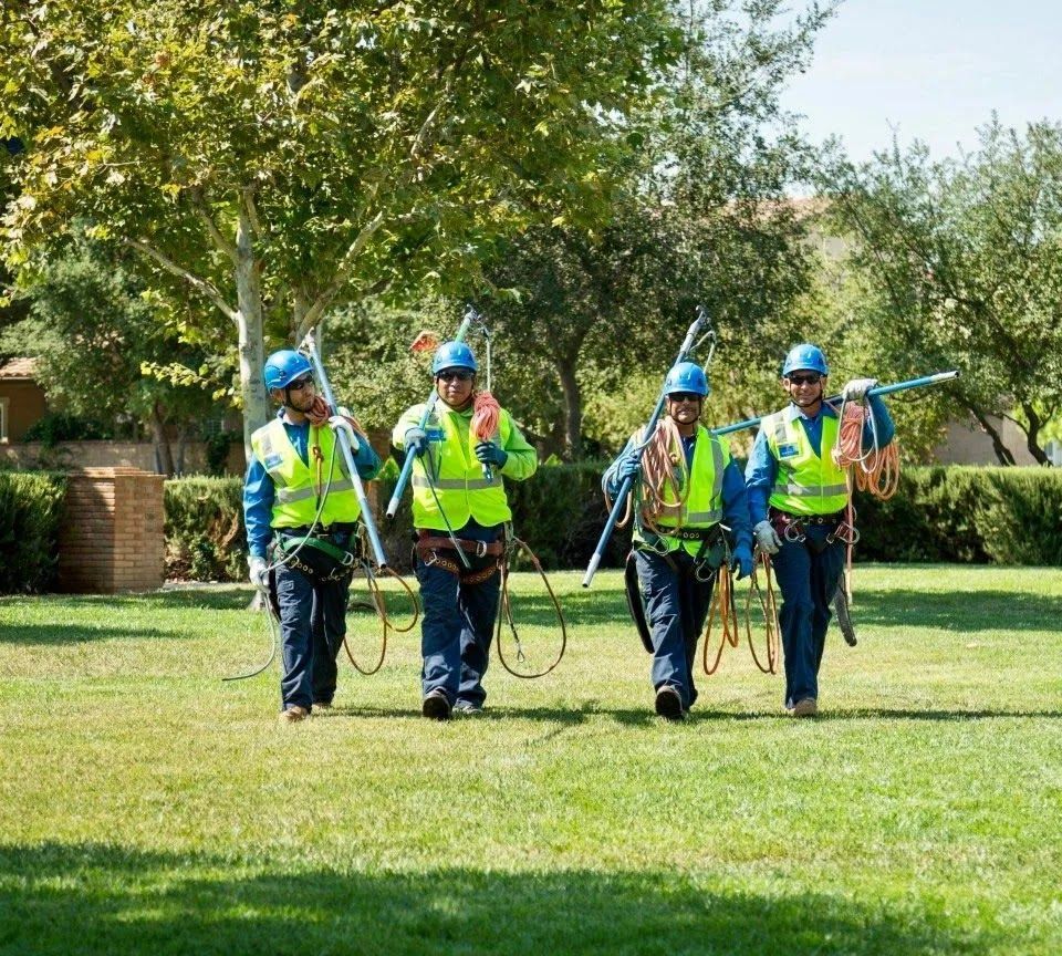Four workers in safety vests and harnesses walk on grass, carrying equipment outdoors.