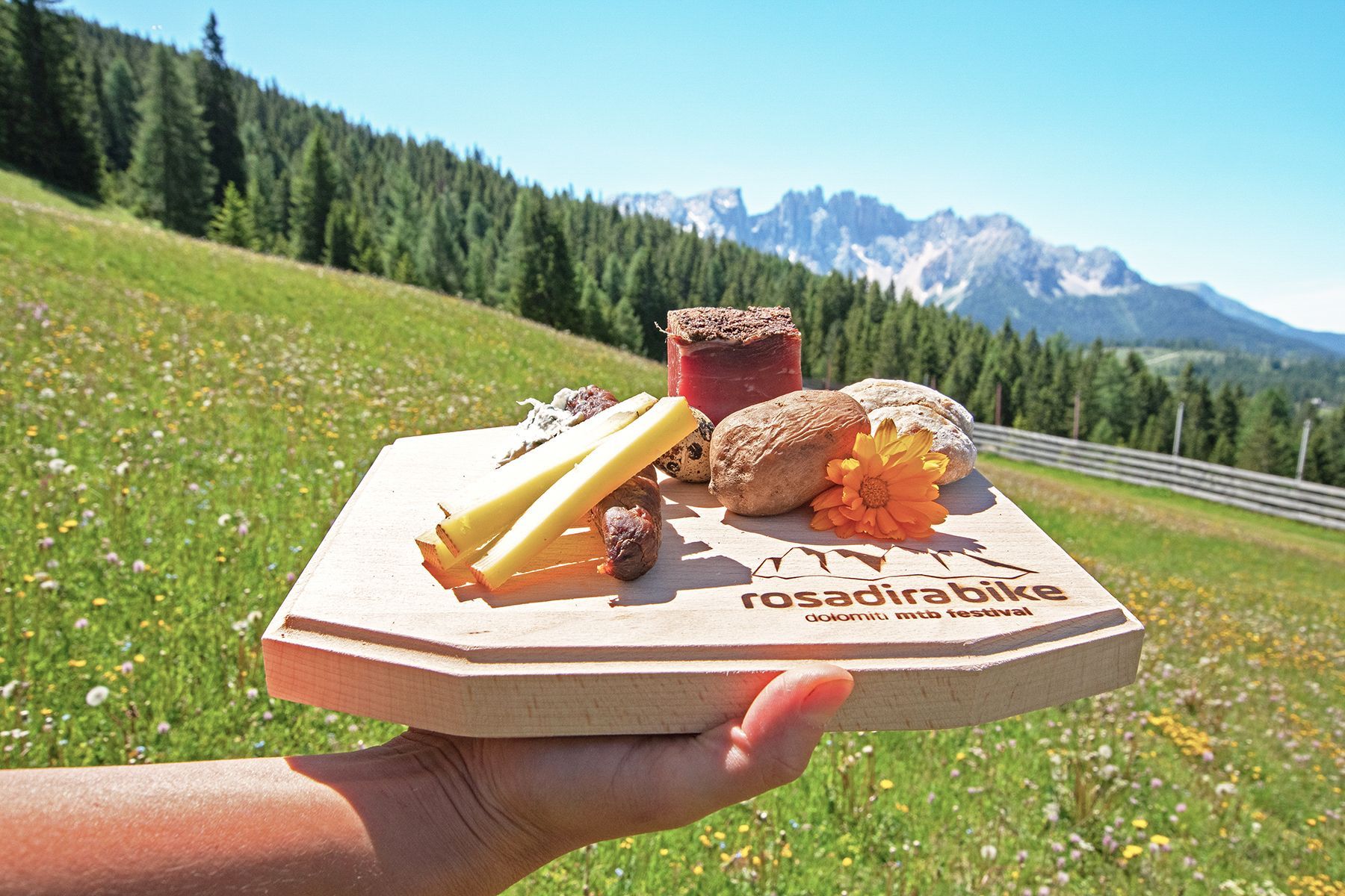 Genuss in Südtirol Dolomiten 