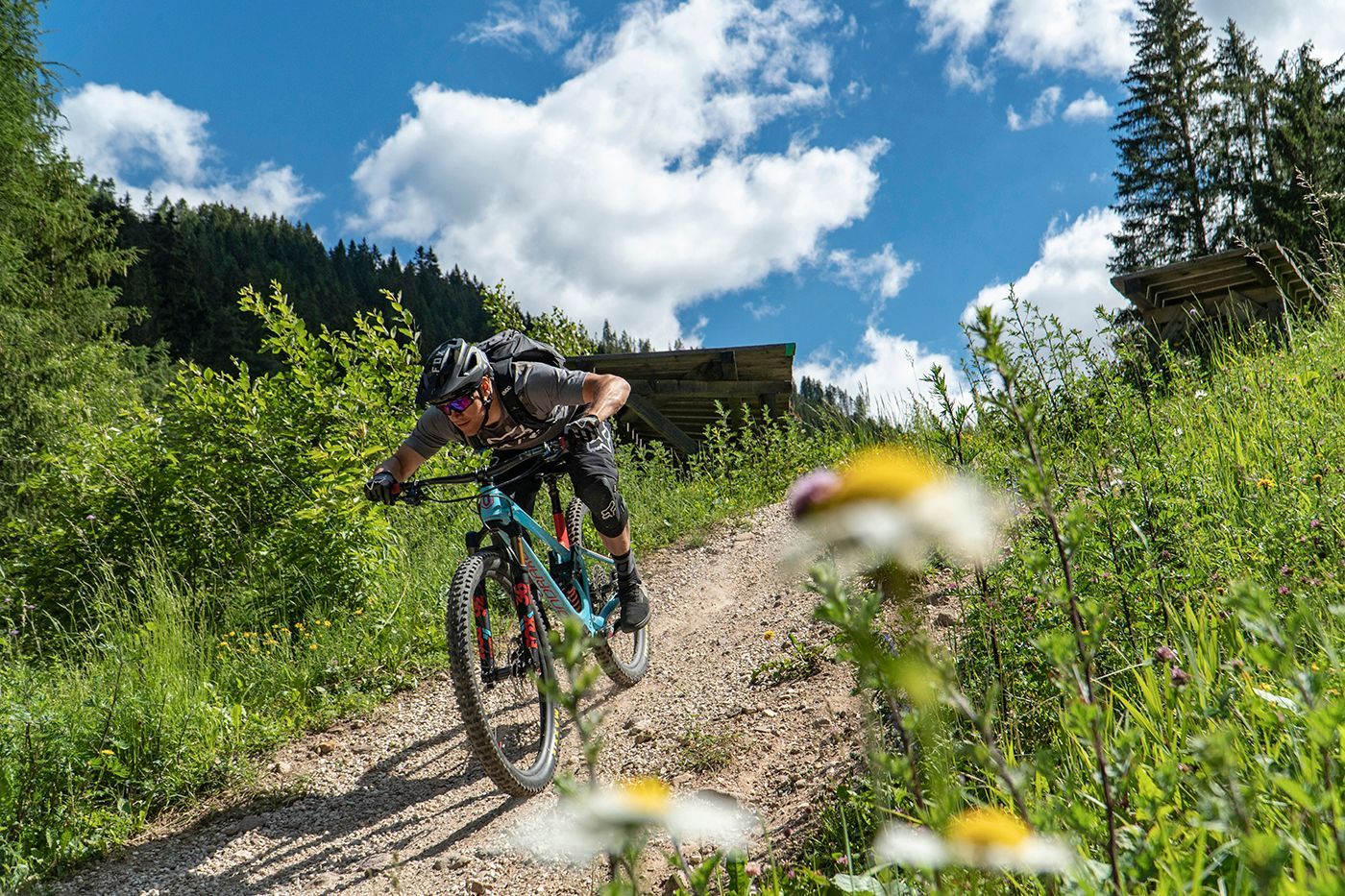 Mountainbiken Carezza Trail 