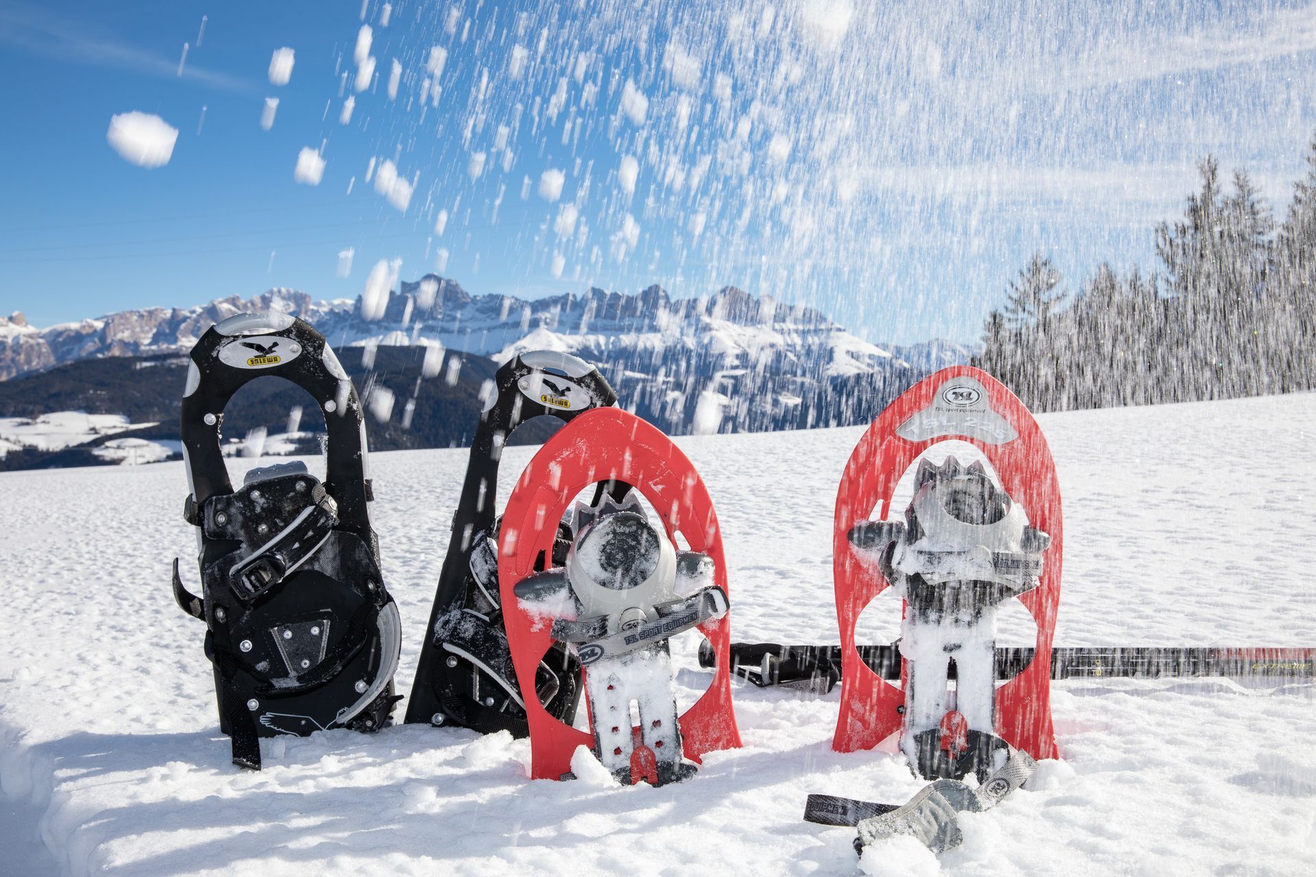 Schneeschuwandern im Carezza Dolomiten
