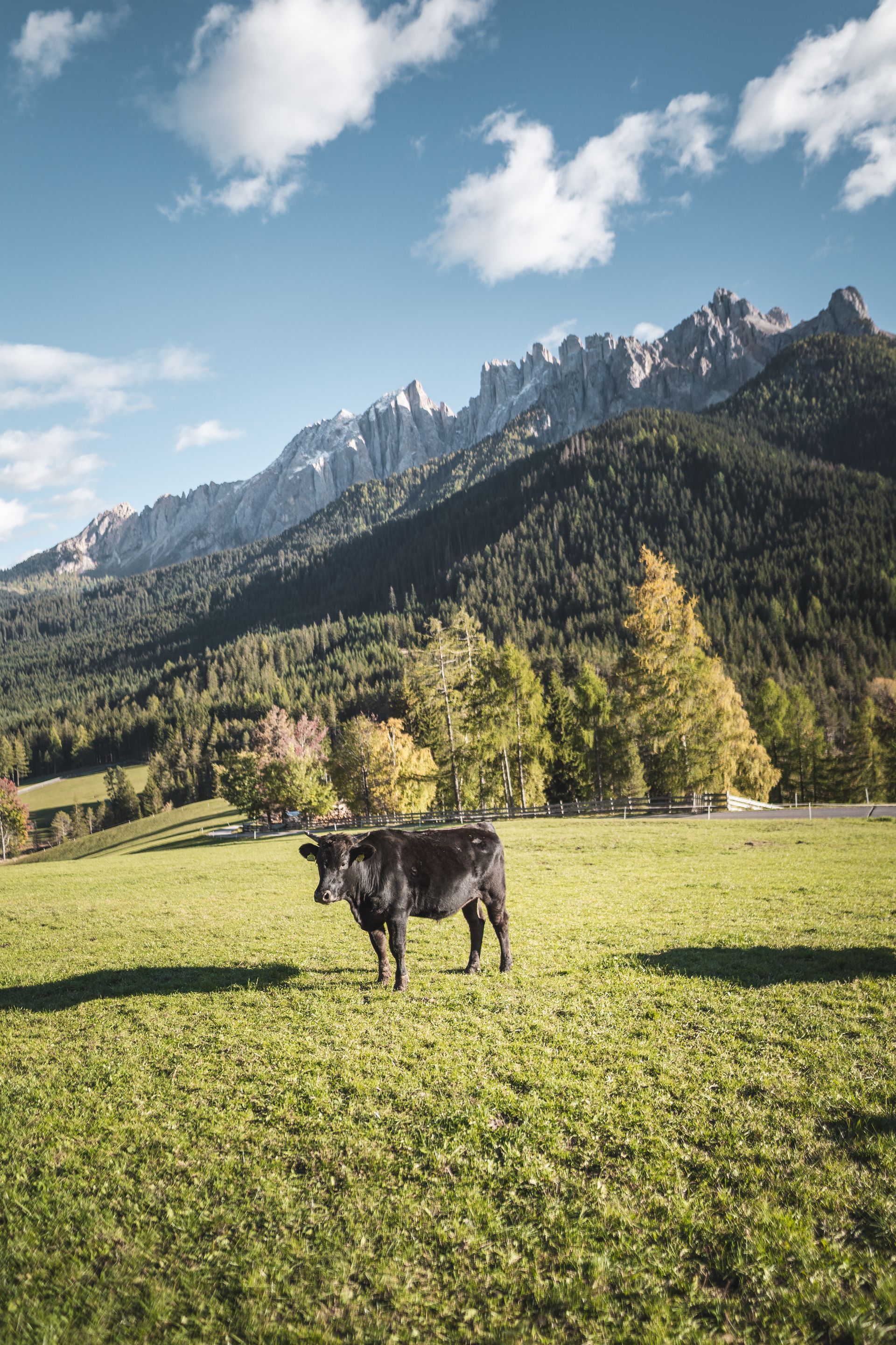 Eggental  Dolomiten  Südtirol