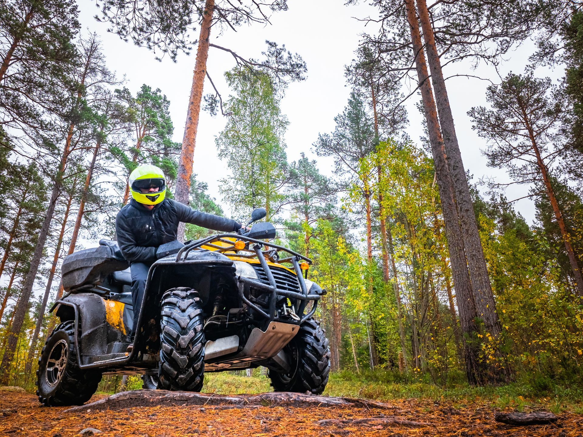 A man is riding an atv in the woods.