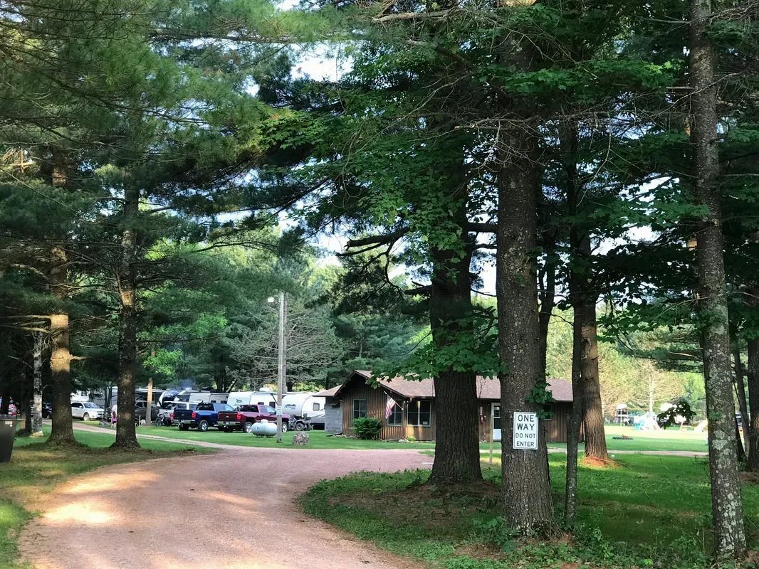 A dirt road going through a forest with trees on both sides.