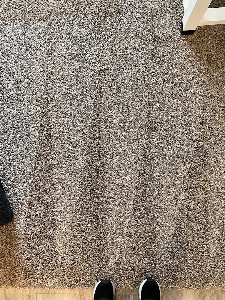 A high-angle view of a grey carpet with vacuum cleaner tracks, with a person's dark sneakers visible at the bottom.
