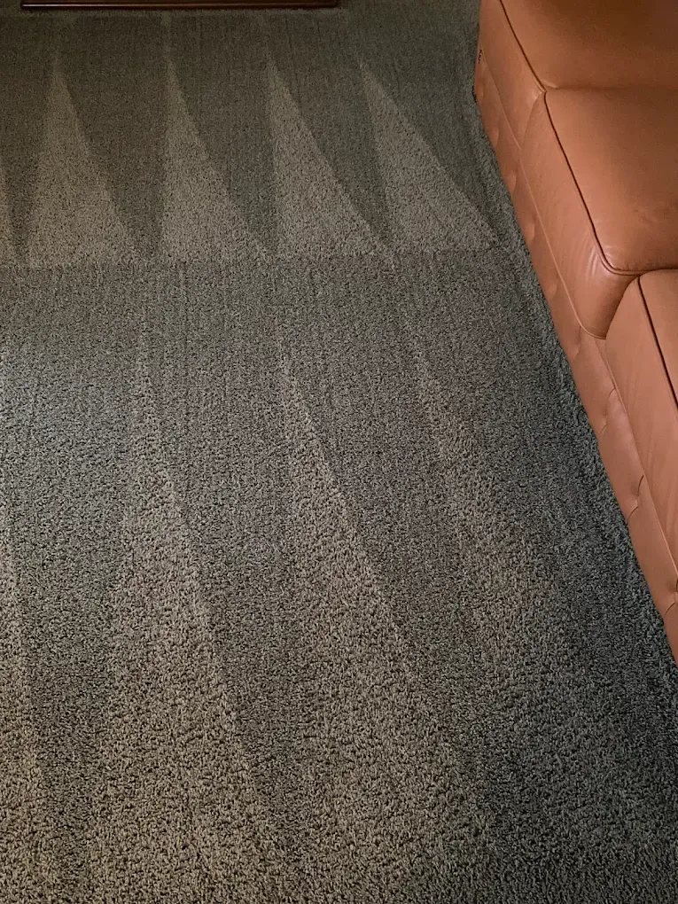 A speckled grey carpet showing vacuum lines next to a tan leather sofa.