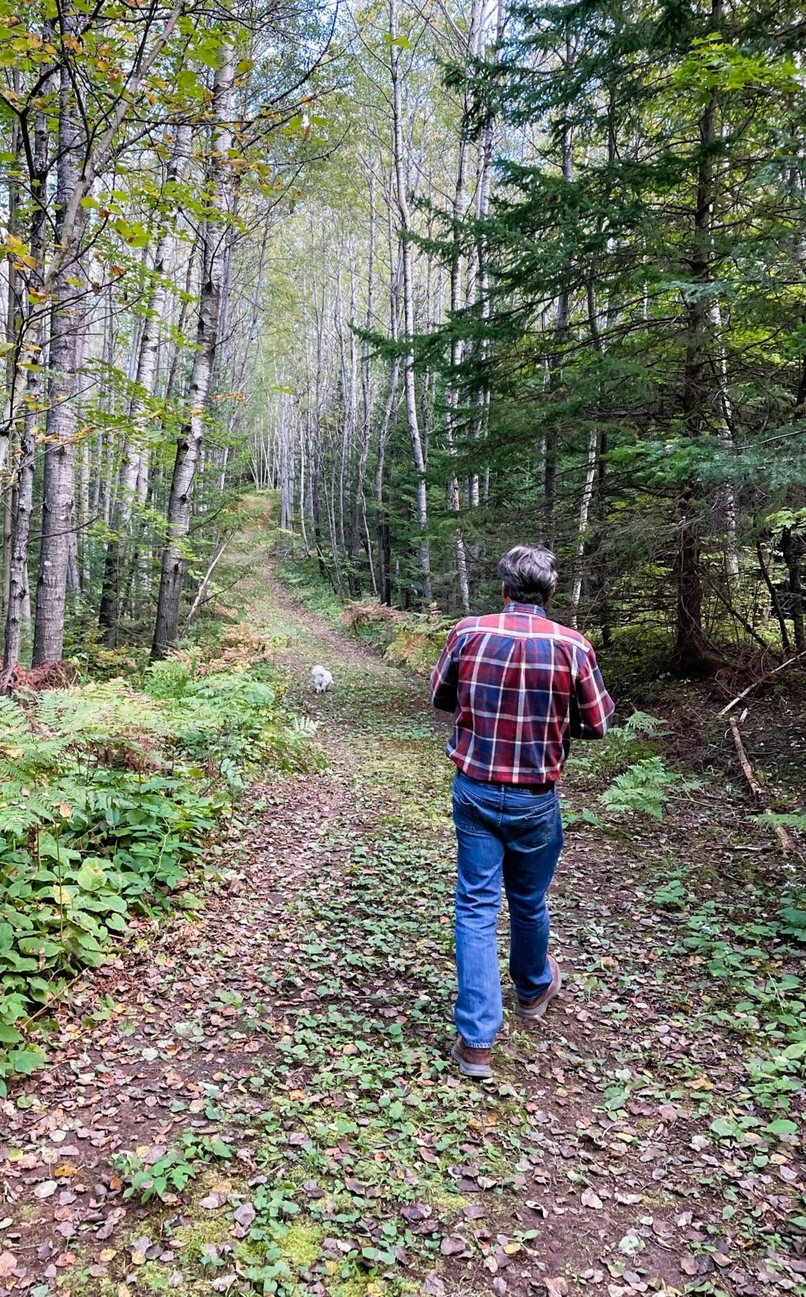 Person in a red plaid shirt walking on a forest trail surrounded by trees and greenery