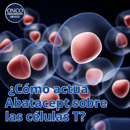 Ilustración de células inmunes bajo acción de Abatacept.