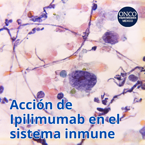 Portada con células microscópicas y texto: “Acción de ipilimumab en el sistema inmune”