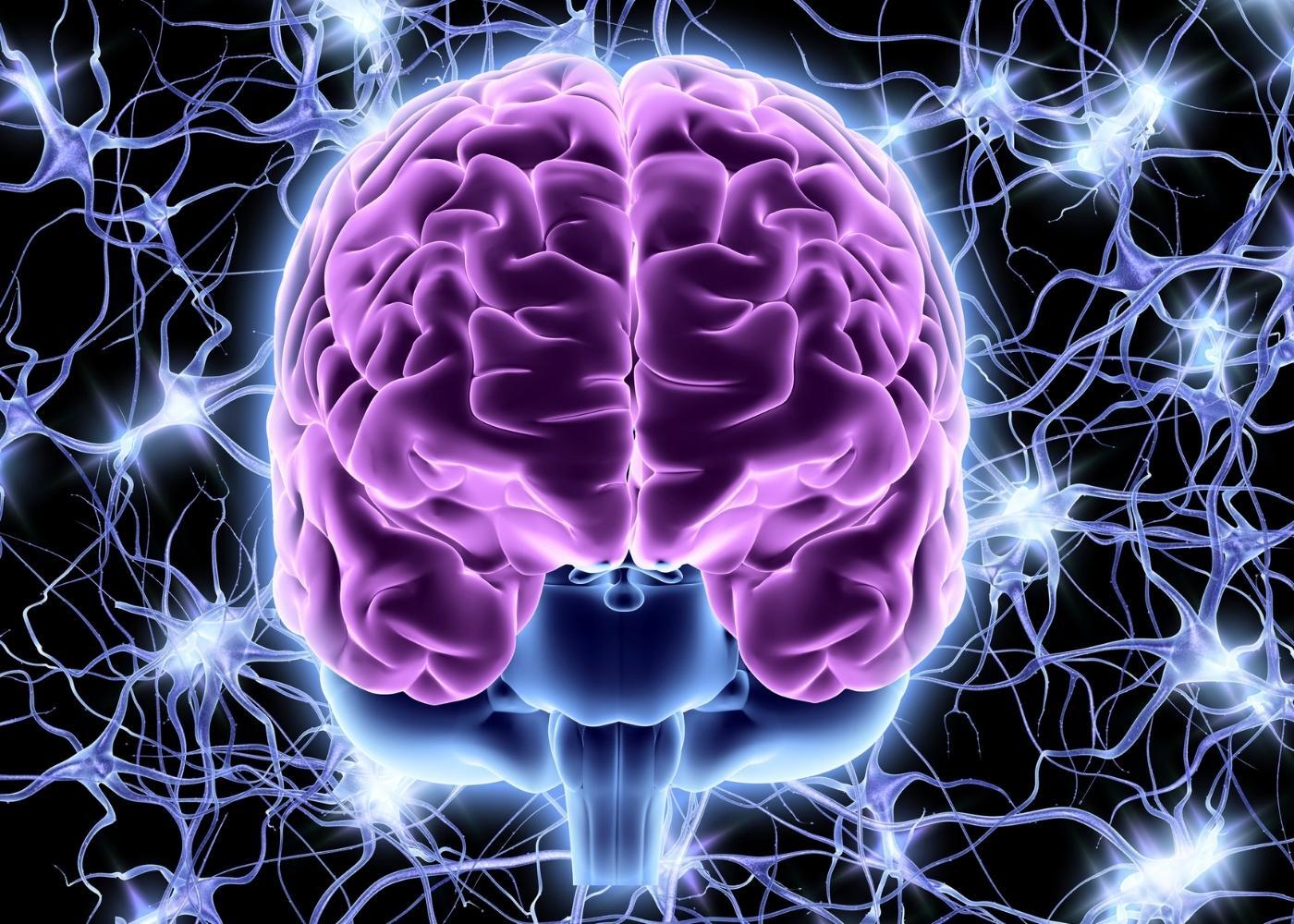 neurologia alta especialidad