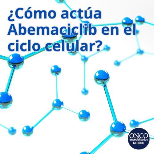 Representación molecular del mecanismo de Abemaciclib.