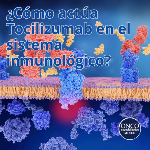Ilustración molecular de la acción inmunológica del Tocilizumab.